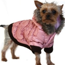 Diva Dogs ski jacket