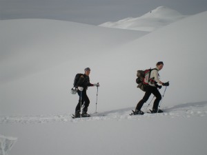 Ski touring