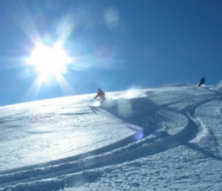 The Monashees