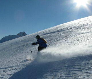 Monashees