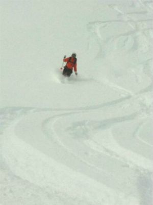 Suzy is Revelstoke