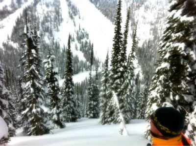 Epic Tree Skiing in Revelstoke