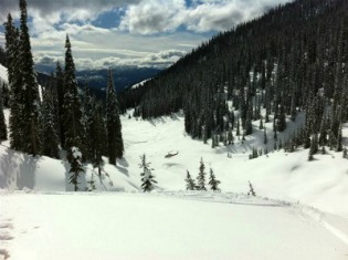Vast terrain in Revelstoke