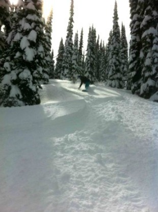 Tree boarding in Revelstoke
