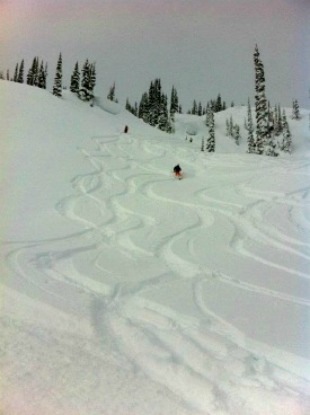 Powder tracks in Revelstoke