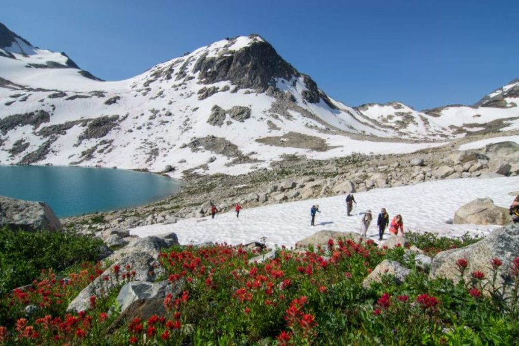heli-skiing-Hikers-Crossing-a-Snowpatch-Bugaboos-Lyle-Grisedale-min