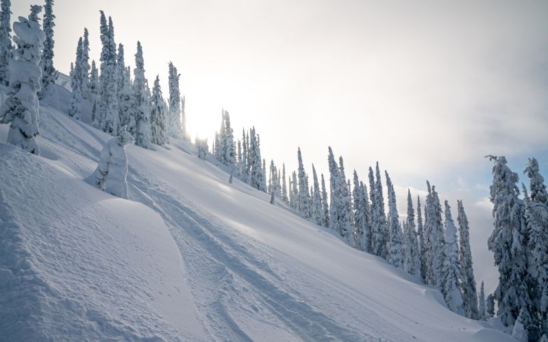 heli-skiing-canada-mountain-min