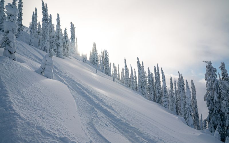 heli-ski-canada-mountain-min