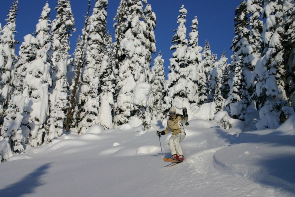 heliskiing-canada-prices-down-the-mountain-min