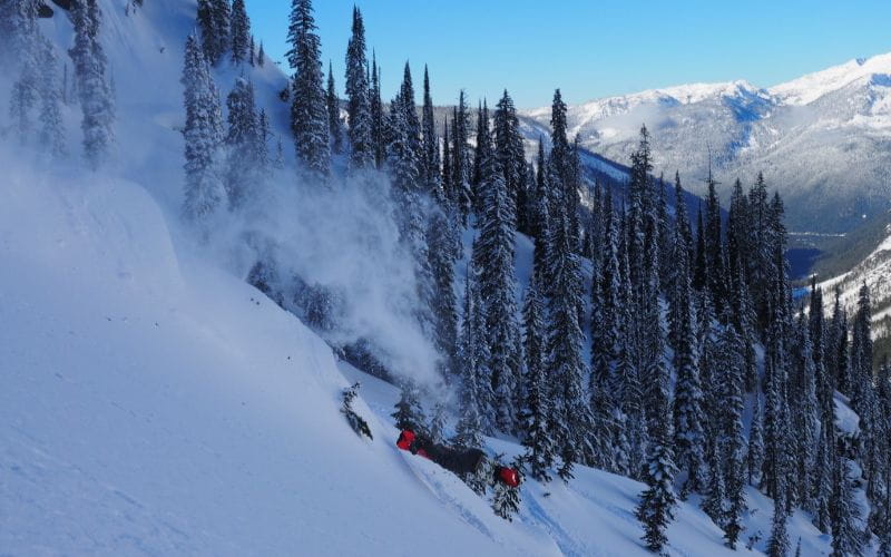 affordable-heli-skiing-tree-skiing