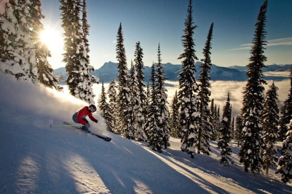 heli-skiing-bc-prices-tree-skiing (1)