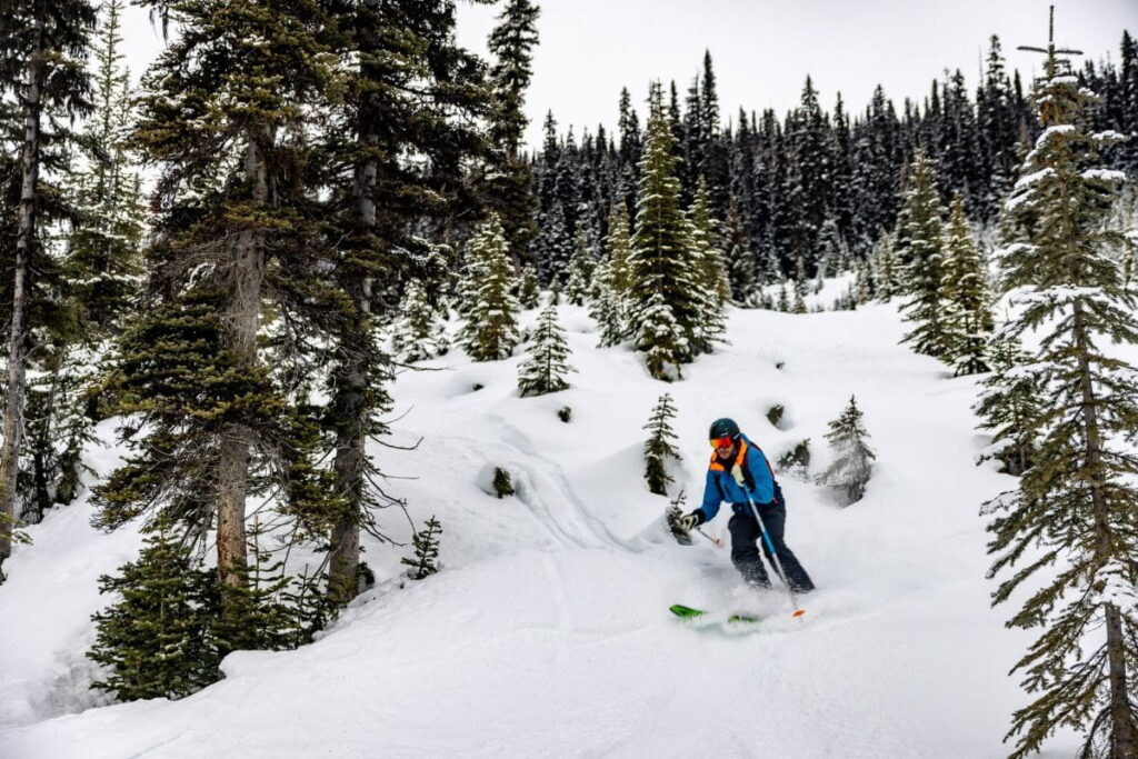 heliskiing-canada-prices-tree-skiing
