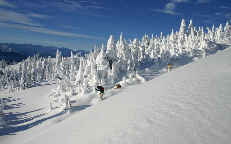 affordable-heli-skiing-tree-skiing (1)