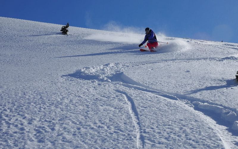 heli-skiing-bc-prices-powdered-snow (1)