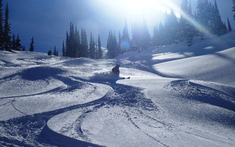 heli-skiing-bc-prices-skiing-down-mountain (1)