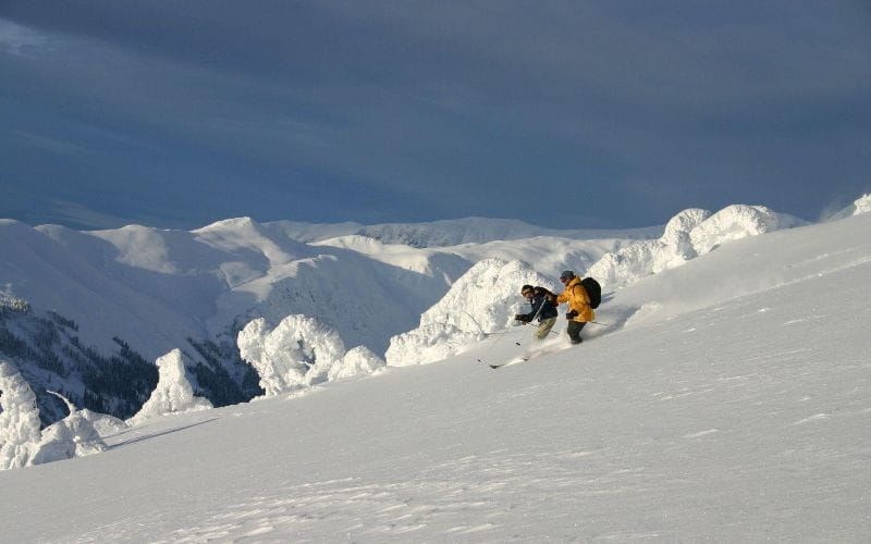 heliskiing-canada-prices-two-skiers (1)