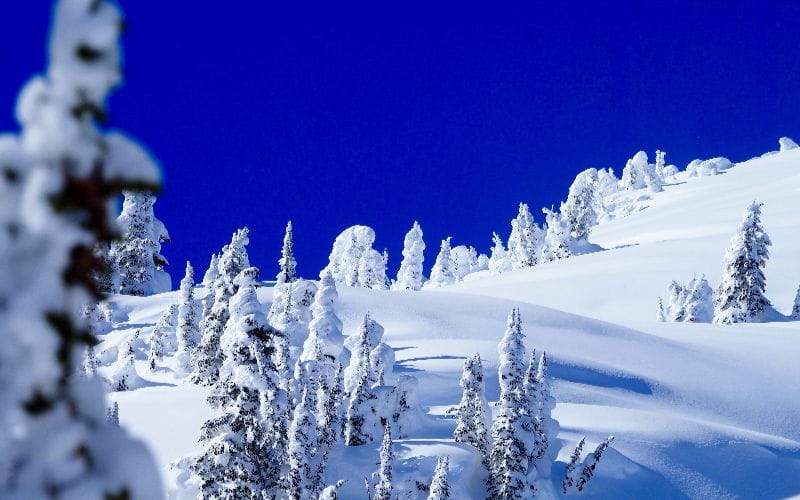 heliskiing-canada-thick-powder-snow
