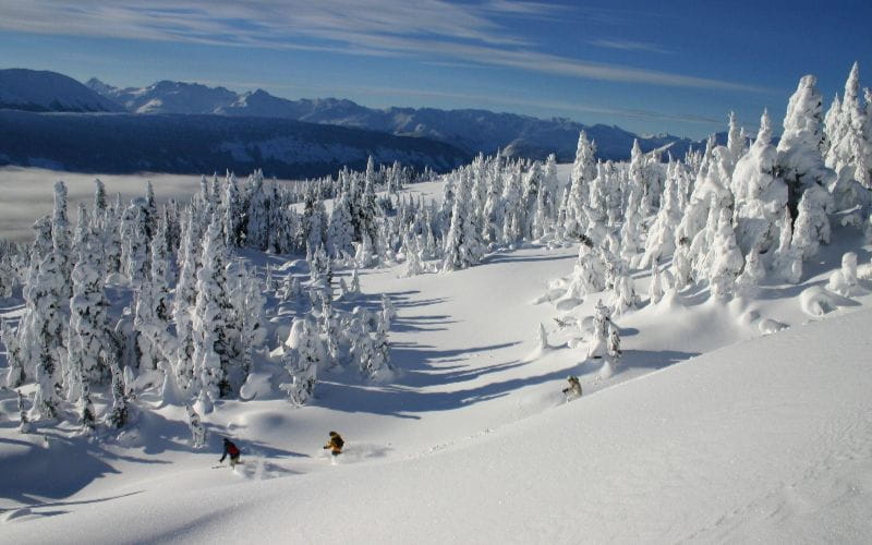 heli-skiing-bc-prices-tree-skiing