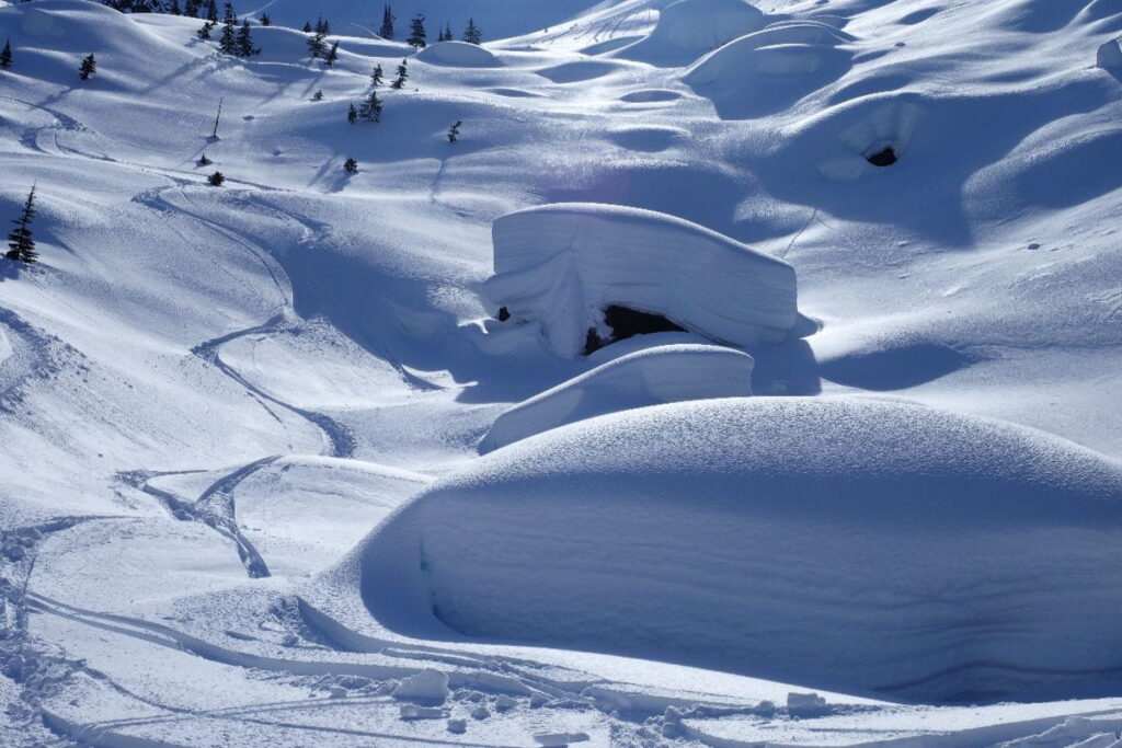 helicopter-skiing-canada-powdered-snow-peak-season