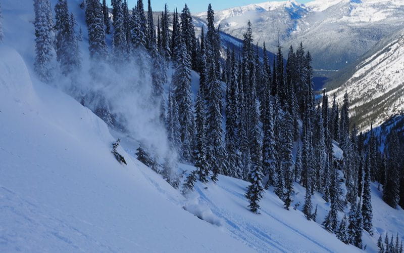 heli-skiing-bc-prices-tree-skiing