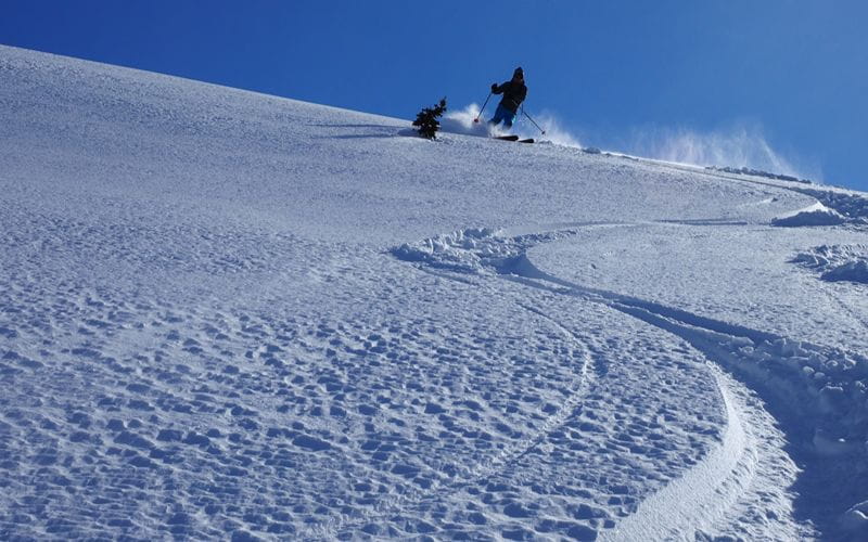 helicopter-skiing-canada-open-terrain (1)