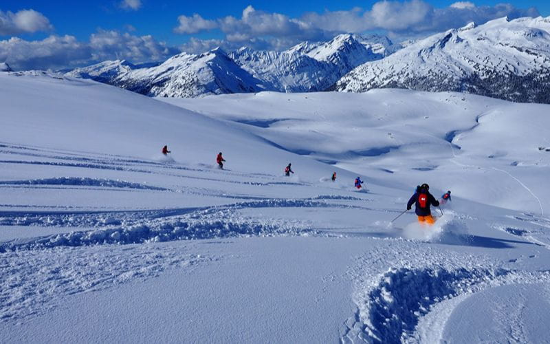 heliskiing-canada-prices-group-of-skiers