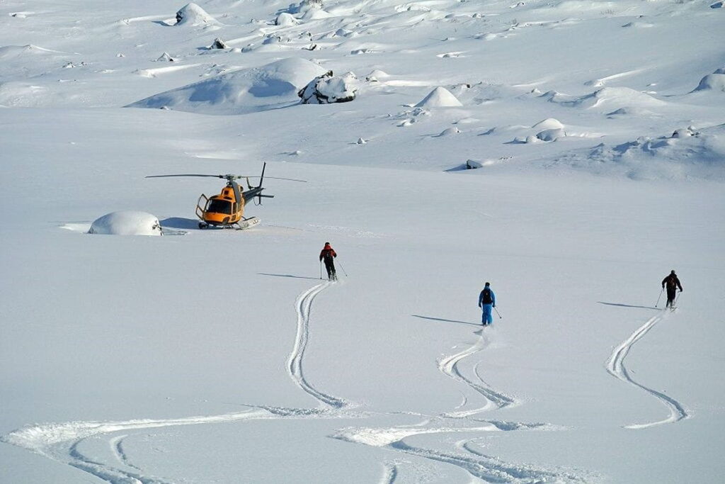 heliskiing-canada-prices-group-of-skiers (1)